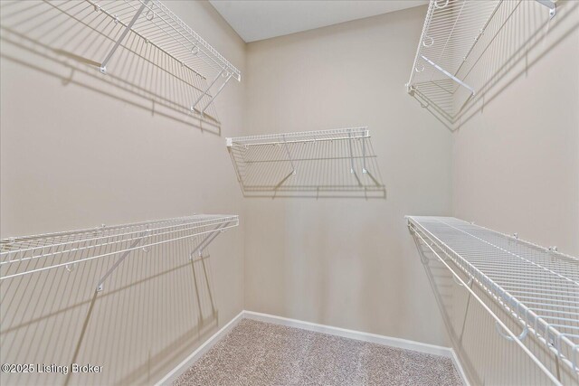 212 Harvest Moon Ct Unit 217A, Shepherdsville, KY 40165 - photo 18