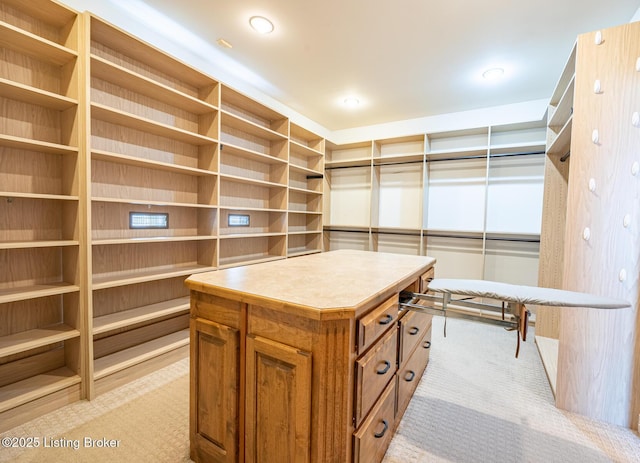 spacious closet with light colored carpet