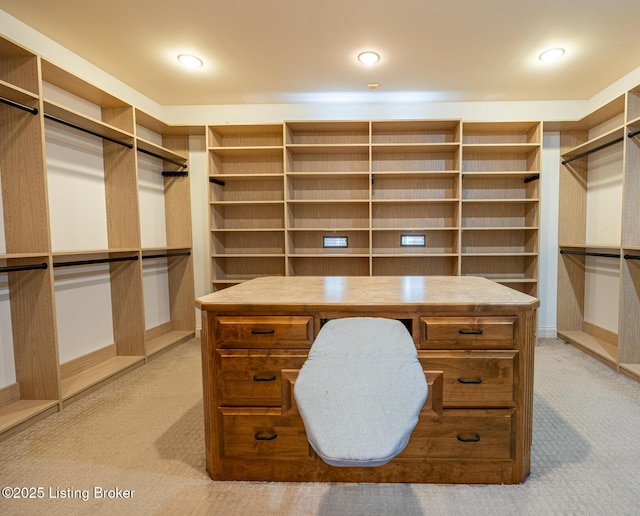 spacious closet with light colored carpet