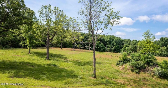 TractA Forest View Lane, La Grange, KY 40031 - photo 3