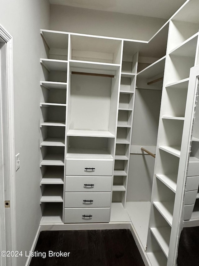 walk in closet featuring dark hardwood / wood-style floors