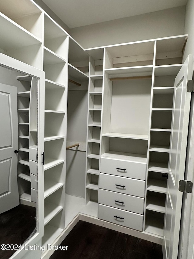 spacious closet with dark wood-type flooring