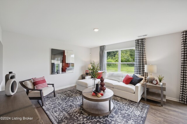 living room with hardwood / wood-style floors