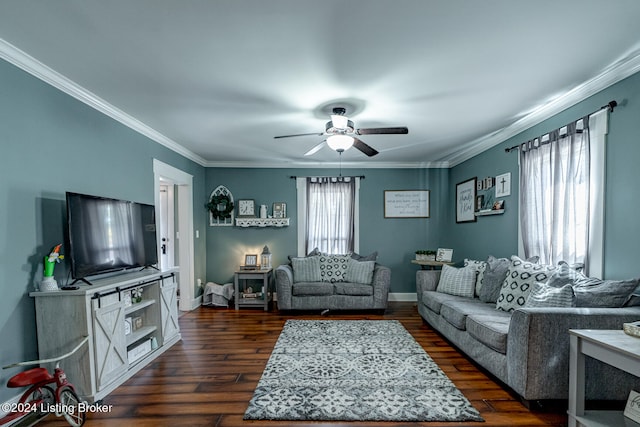 living room with ornamental molding, ceiling fan, and dark wood-type flooring