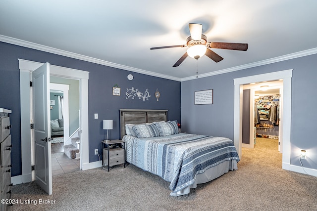 bedroom with a spacious closet, ceiling fan, carpet floors, and crown molding