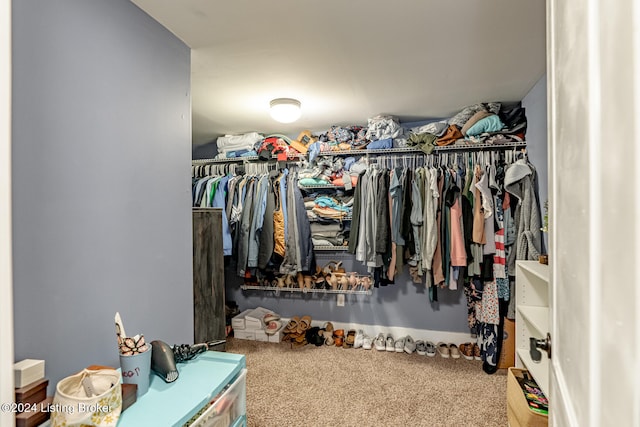 spacious closet featuring carpet floors