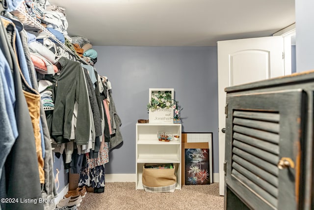 walk in closet with carpet floors