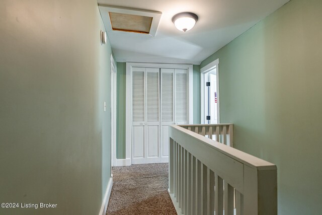 hallway with carpet floors