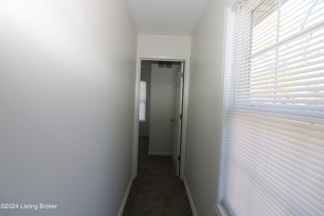 hall featuring carpet flooring