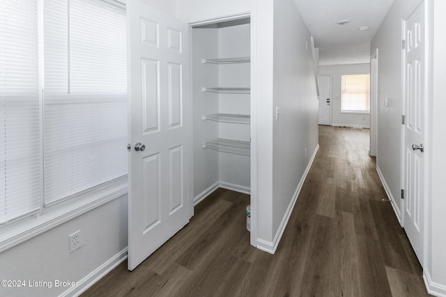 hallway featuring dark hardwood / wood-style flooring