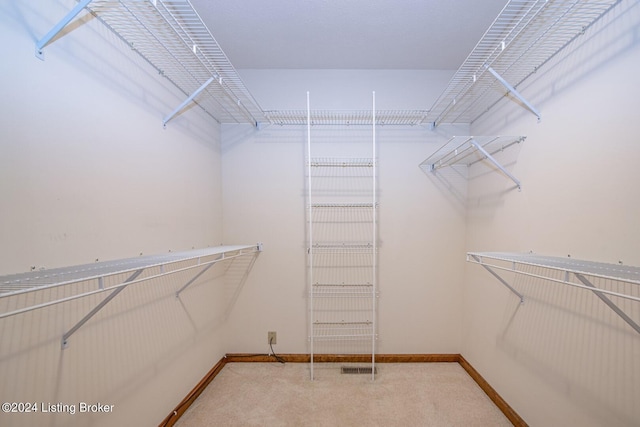 spacious closet with carpet flooring