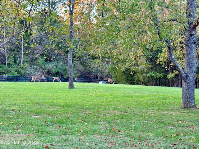 view of yard with a rural view