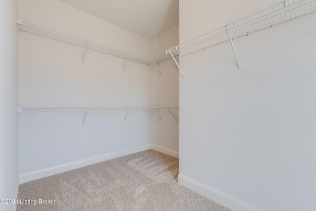 spacious closet with light colored carpet