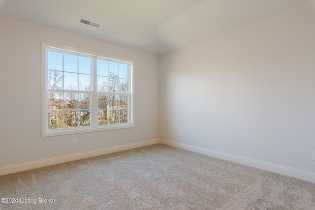 unfurnished room featuring carpet and a wealth of natural light