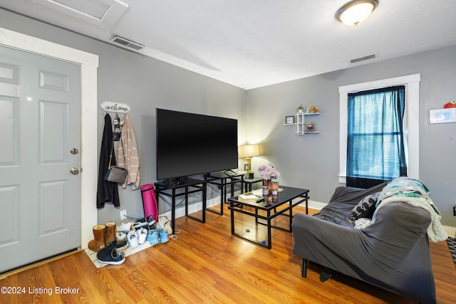 living room with light hardwood / wood-style floors