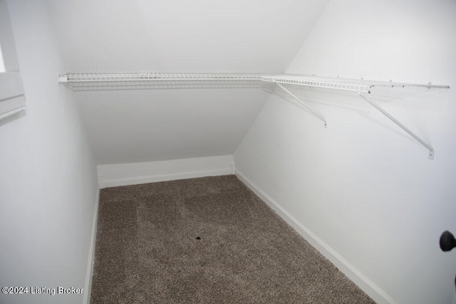 spacious closet featuring carpet flooring and vaulted ceiling