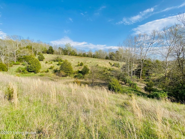 Listing photo 3 for LOT4 E Fork Rd, Harrodsburg KY 40330