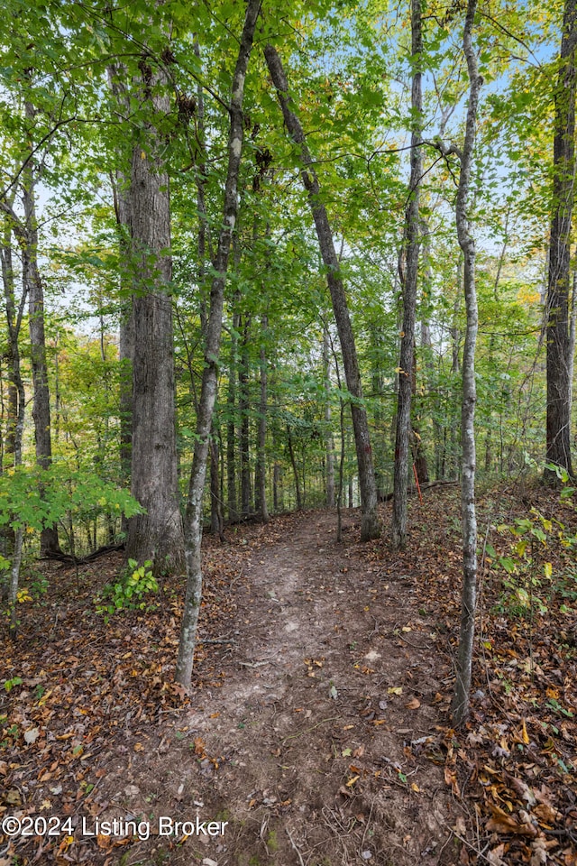 view of nature