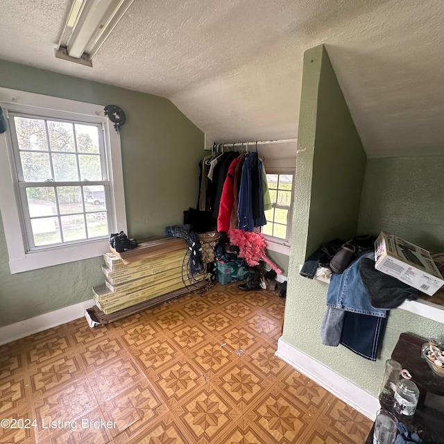 walk in closet featuring vaulted ceiling