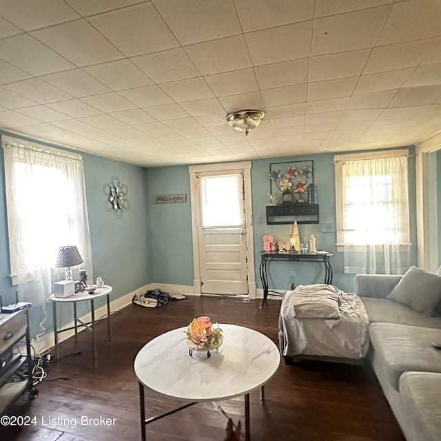 living area with plenty of natural light and hardwood / wood-style floors