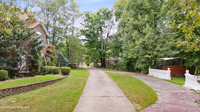 view of property's community with a yard