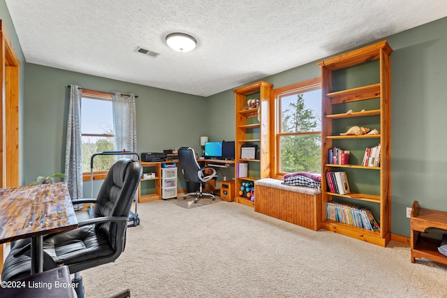 carpeted home office featuring plenty of natural light and a textured ceiling