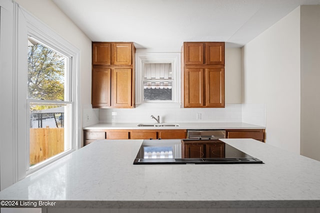 kitchen featuring black electric stovetop, dishwasher, sink, and backsplash