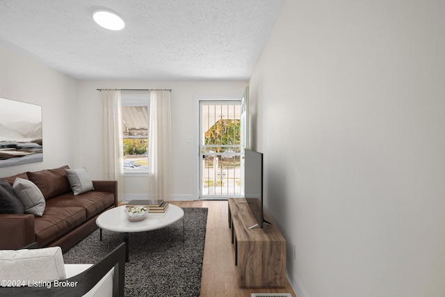 living room with a textured ceiling and hardwood / wood-style flooring