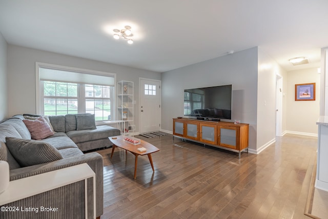 living room featuring hardwood / wood-style flooring