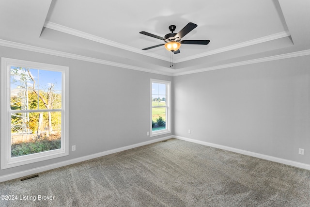 carpeted empty room with crown molding, a raised ceiling, and a wealth of natural light