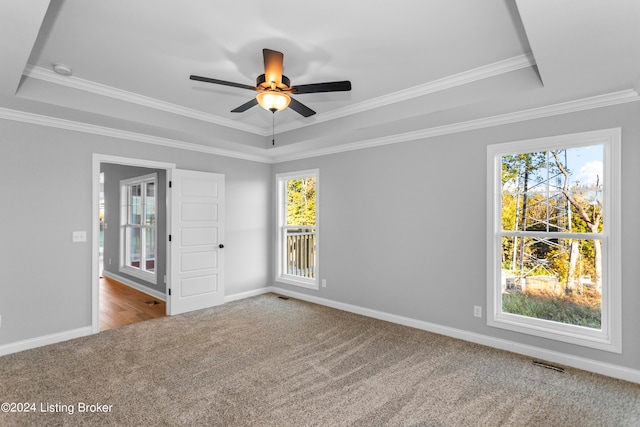 carpeted empty room with ornamental molding, a raised ceiling, ceiling fan, and plenty of natural light