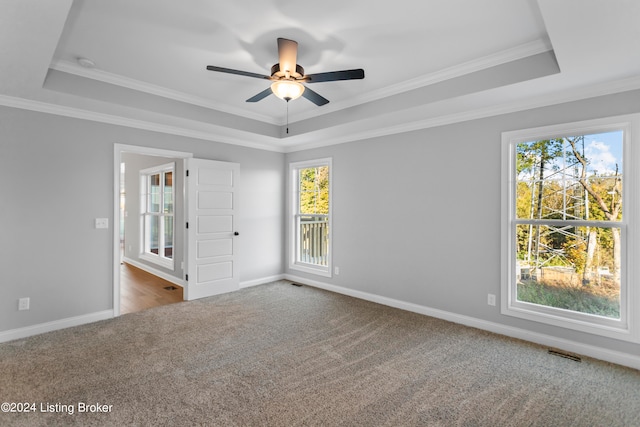 spare room featuring ornamental molding, carpet, and a tray ceiling