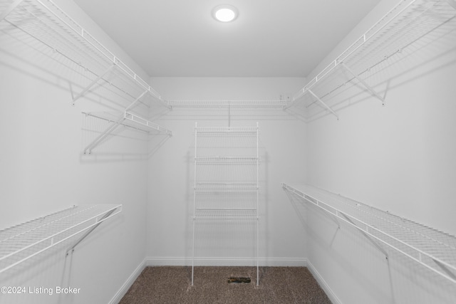 walk in closet featuring dark carpet