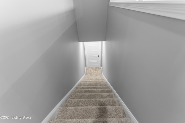 399 Williamsburg Dr, Mt Washington, KY 40047 - photo 30
