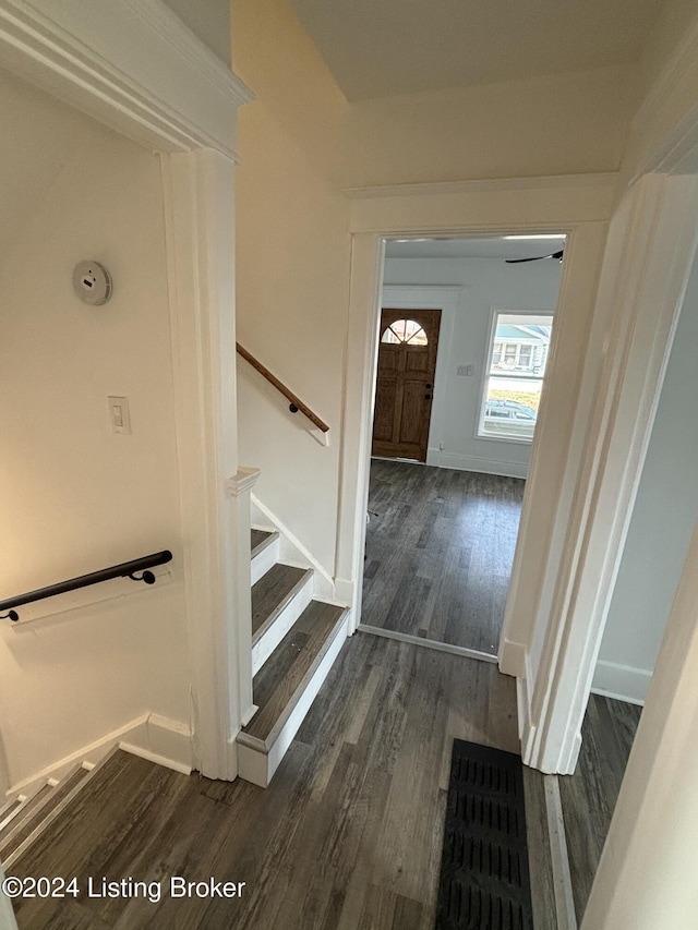 staircase featuring hardwood / wood-style floors