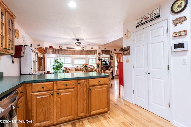 kitchen featuring light hardwood / wood-style floors, kitchen peninsula, dishwasher, and ceiling fan