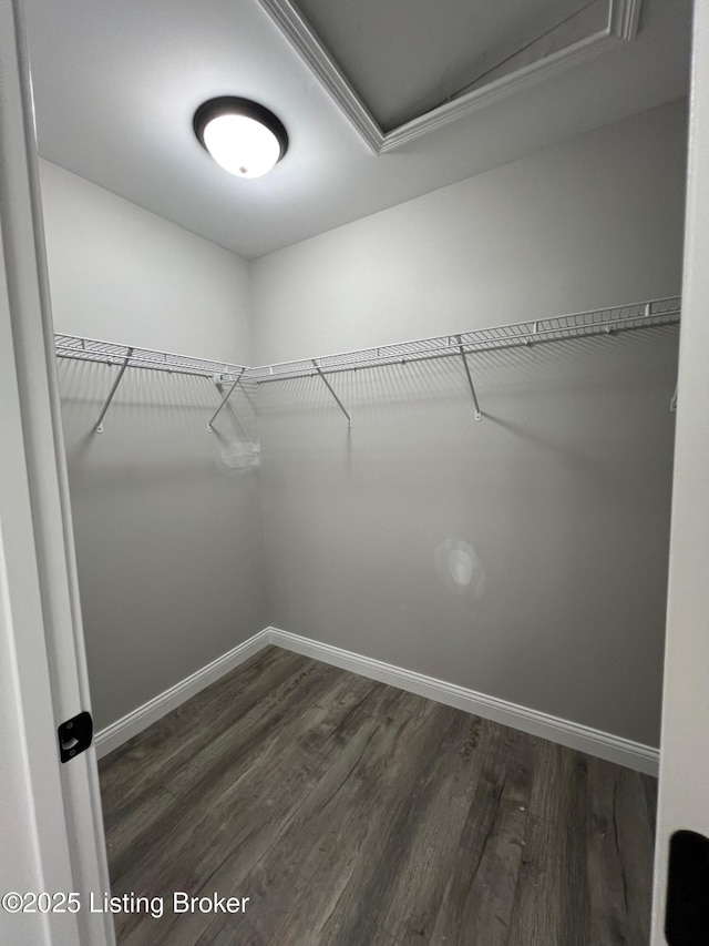 walk in closet featuring attic access and dark wood-style flooring