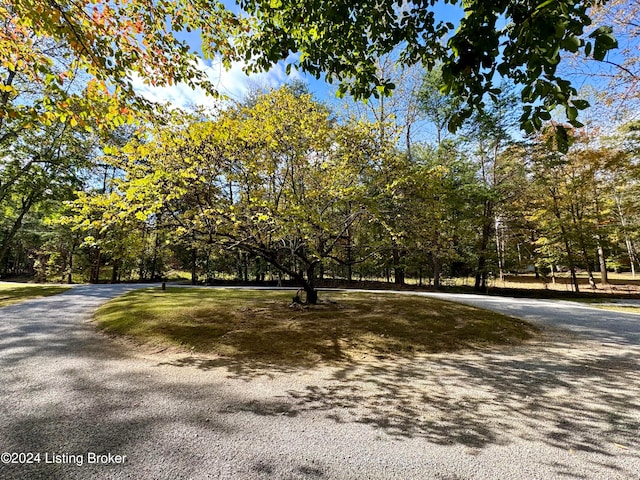 308 Oak Rd, Falls Of Rough, KY 40119 - view of surrounding community