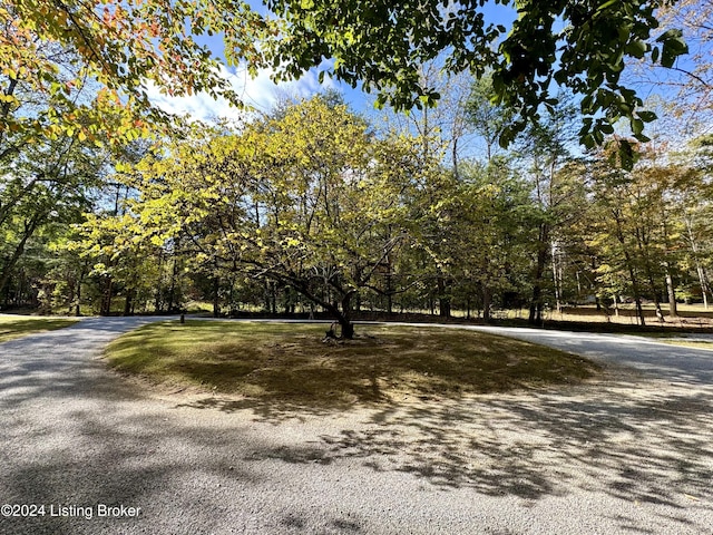 308 Oak Rd, Falls Of Rough, KY 40119 - view of front of house