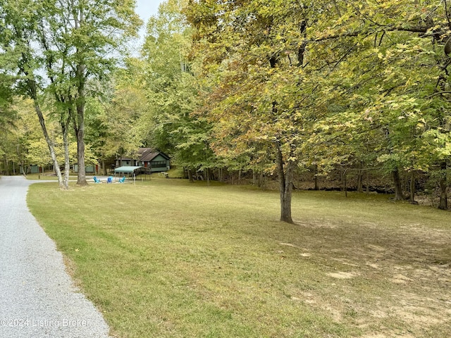 308 Oak Rd, Falls Of Rough, KY 40119 - view of green lawn