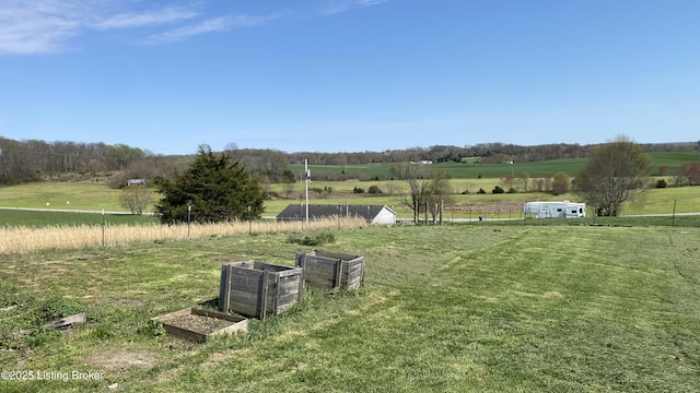 view of yard featuring a rural view