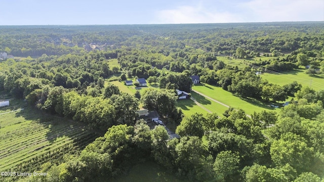 2212 Clark Station Rd, Fisherville, KY 40023 - photo 10
