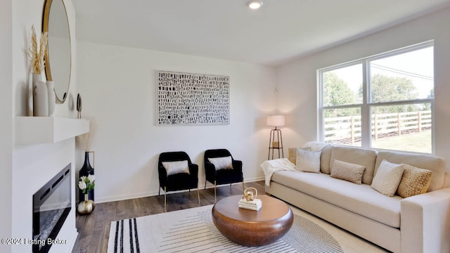 living room with dark hardwood / wood-style floors