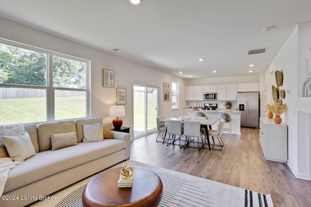 living room with light hardwood / wood-style floors and plenty of natural light