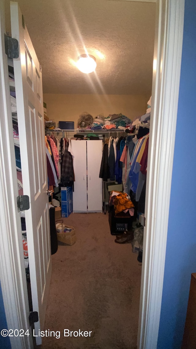 walk in closet with carpet