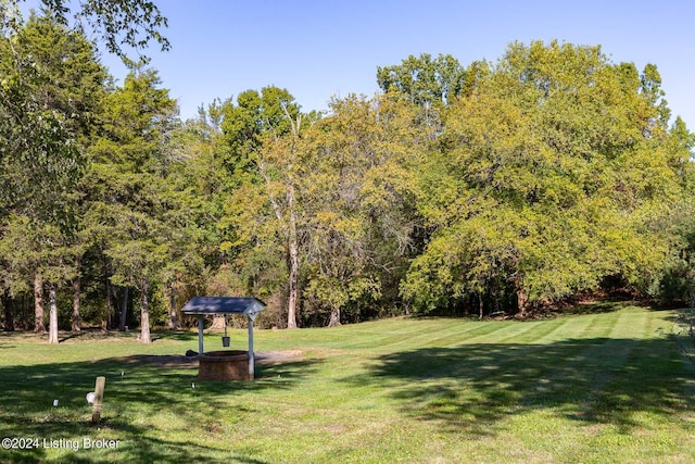 view of home's community featuring a yard