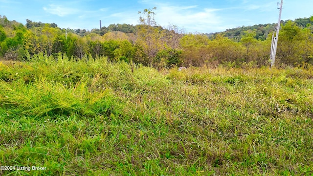 Listing photo 3 for LOT0 Howard Tucker Ln, Hudson KY 40145