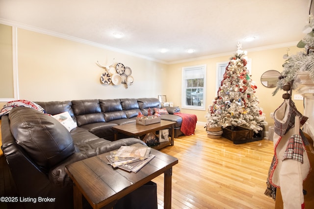 living room featuring crown molding, baseboards, and wood finished floors