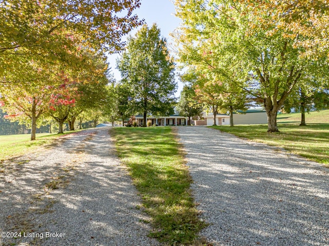 175 Boone White Rd, Leitchfield, KY 42754 - view of dirt / gravel driveway