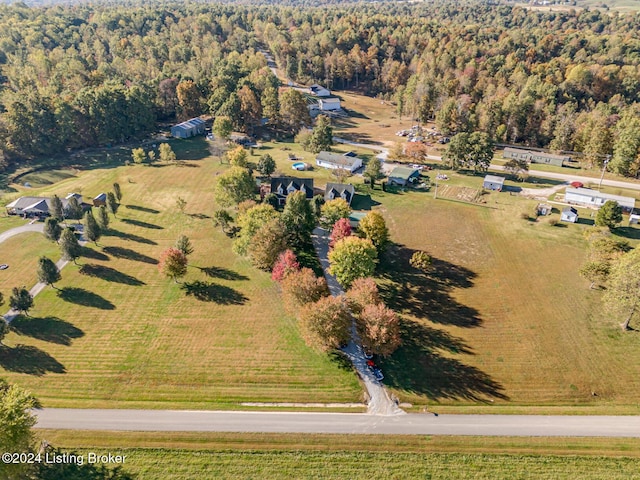 175 Boone White Rd, Leitchfield, KY 42754 - view of property location featuring a forest